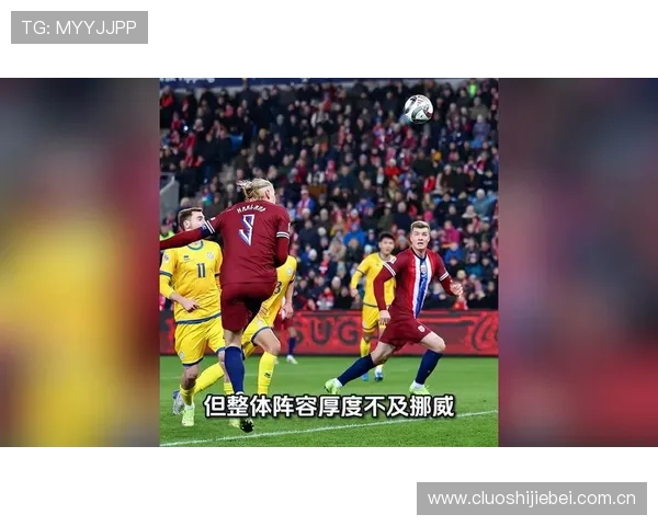 世界杯挪威对塞内加尔比赛场馆环境与观赛体验全景介绍